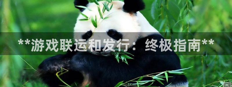 顺盈娱乐平台注册流程图：**游戏联运和发行：终极指南**