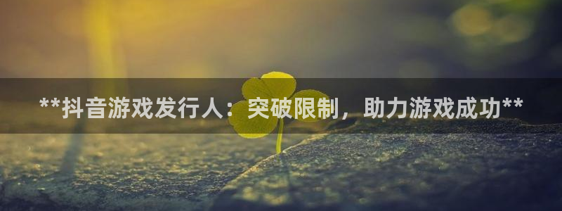 顺盈平台注册资金多少亿：**抖音游戏发行人：突破限制，助力游戏成功**