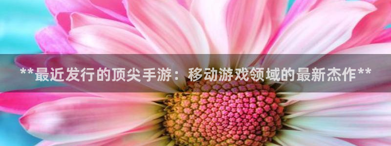 顺盈娱乐3.8.2.2.2.3安