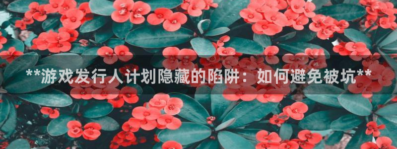 顺盈娱乐平台注册流程视频教程：**游戏发行人计划隐藏的陷阱：如何避免被坑**