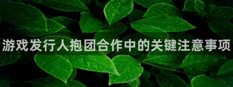 顺盈娱乐眠4o14O使用评测与反馈