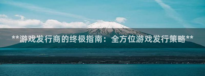 顺盈娱乐平台注册流程图：**游戏发行商的终极指南：全方位游戏发行策略**