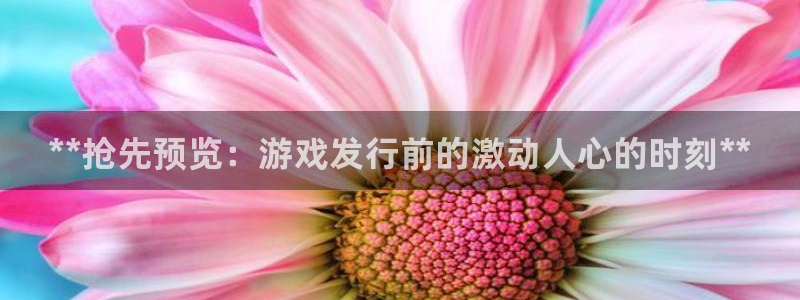 顺盈app：**抢先预览：游戏发行前的激动人心的时刻**