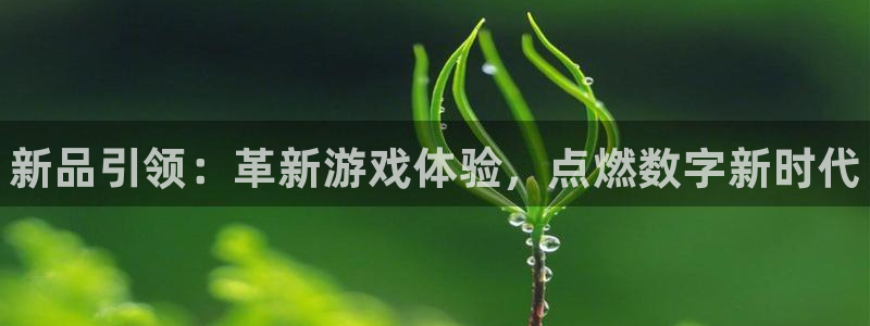 顺盈平台登录入口
