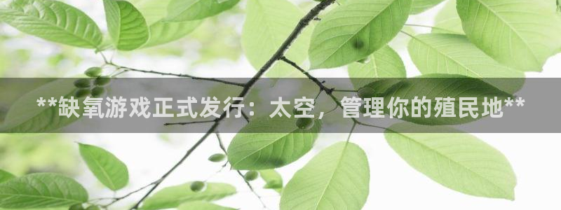 顺盈平台注册地址在哪查：**缺氧游戏正式发行：太空，管理你的殖民地**