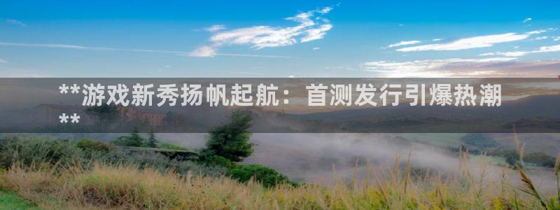 顺盈娱乐平台提现被关闭怎么回事啊：**游戏新秀扬帆起航：首测发行引爆热潮
**