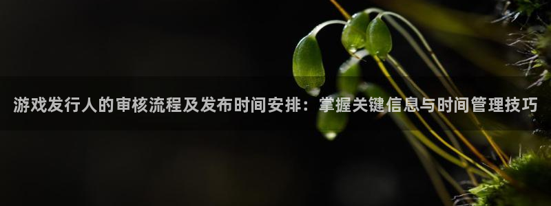 顺盈娱乐登录平台是什么意思呀：游戏发行人的审核流程及发布时间安排：掌握关键信息与时间管理技巧