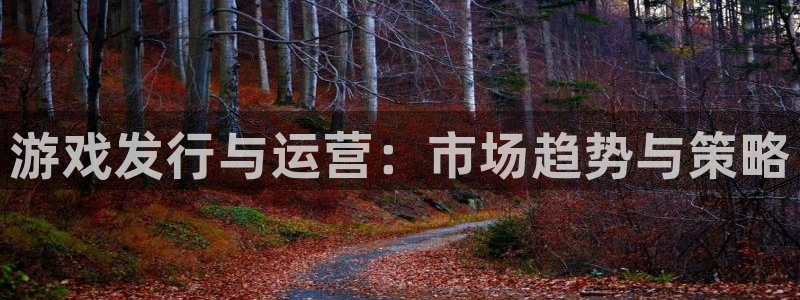 顺盈网络科技有限公司招聘：游戏发行与运营：市场趋势与策略