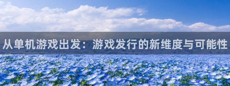 顺盈娱乐官网首页登录入口：从单机游戏出发：游戏发行的新维度与可能性