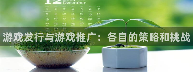 顺盈app是真的吗：游戏发行与游戏推广：各自的策略和挑战