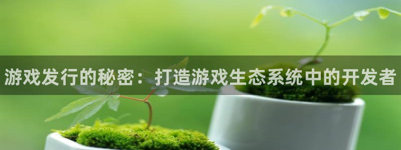 顺盈娱乐扣款成功了吗怎么退款：游戏发行的秘密：打造游戏生态系统中的开发者