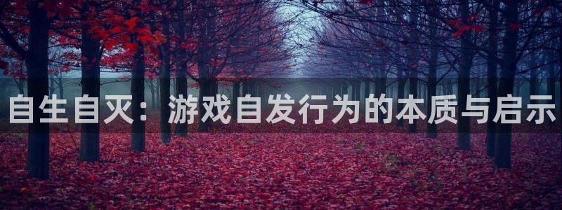 顺盈娱乐平台主管联系方式：自生自灭：游戏自发行为的本质与启示