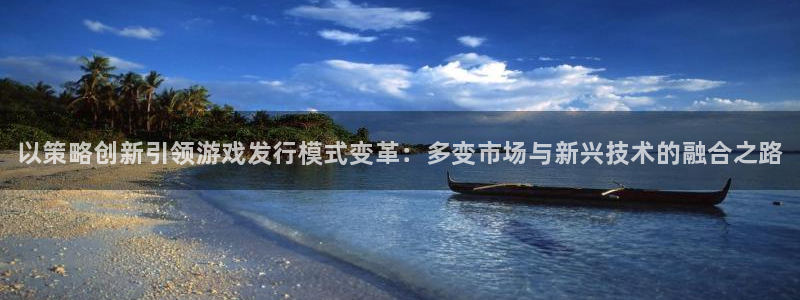 顺盈娱乐平台最新活动：以策略创新引领游戏发行模式变革：多变市场与新兴技术的融合之路