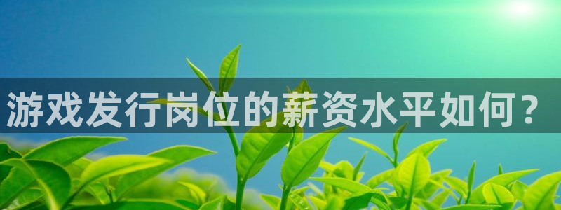 顺盈娱乐母7O777：游戏发行岗位的薪资水平如何？
