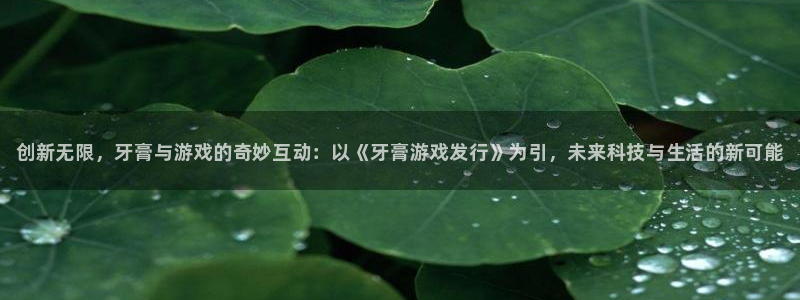 顺盈娱乐公司介绍图片大全